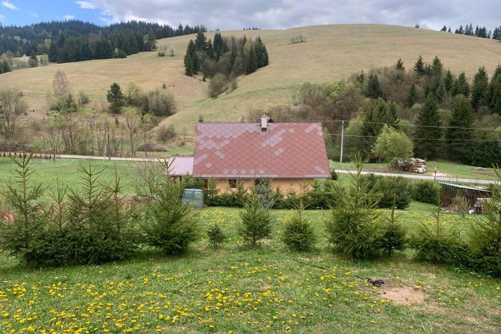 Domcek U Fera Villa Zázrivá Buitenkant foto