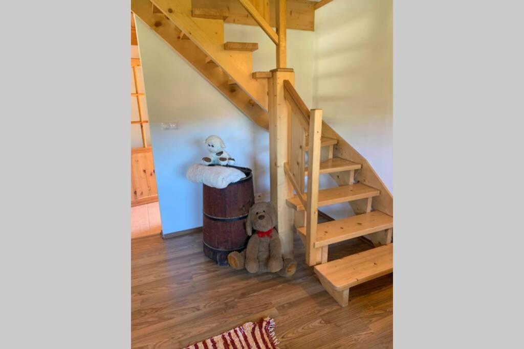 Domcek U Fera Villa Zázrivá Buitenkant foto