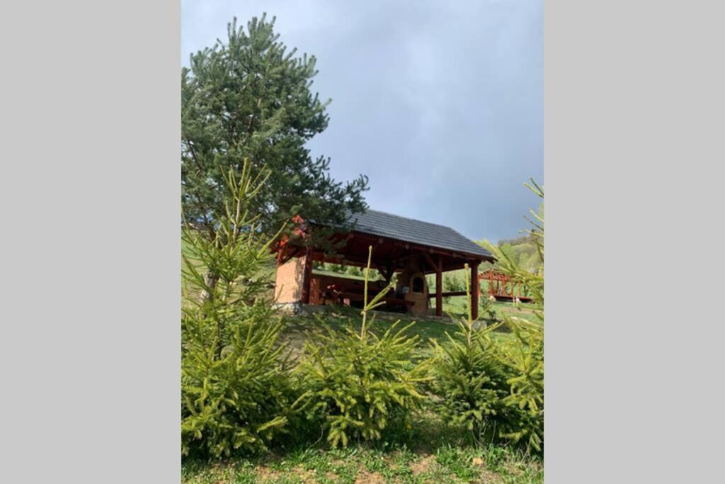 Domcek U Fera Villa Zázrivá Buitenkant foto